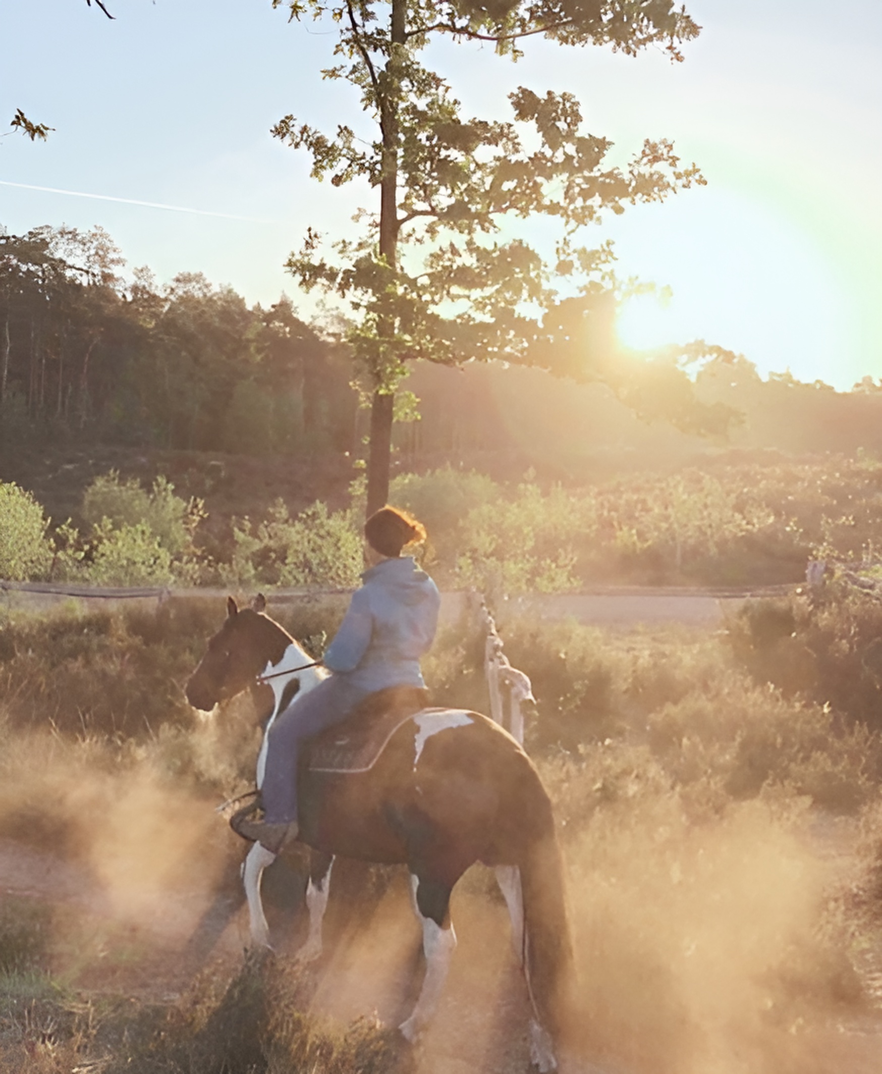Girl with horse